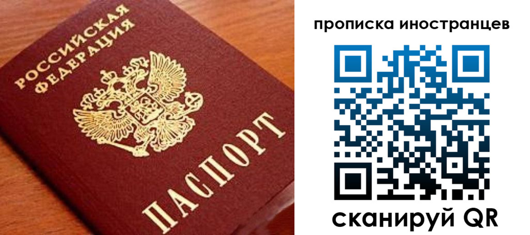 прописка законно в Могочи